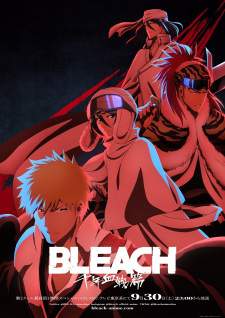  Bleach 