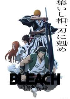  Bleach 