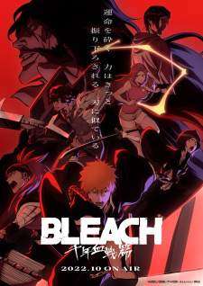  Bleach 