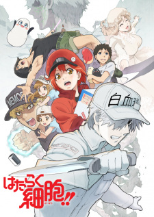  Hataraku Saibou Season 2 