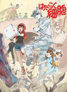  Hataraku Saibou 