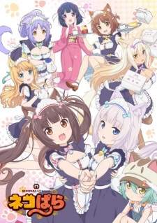  Nekopara 